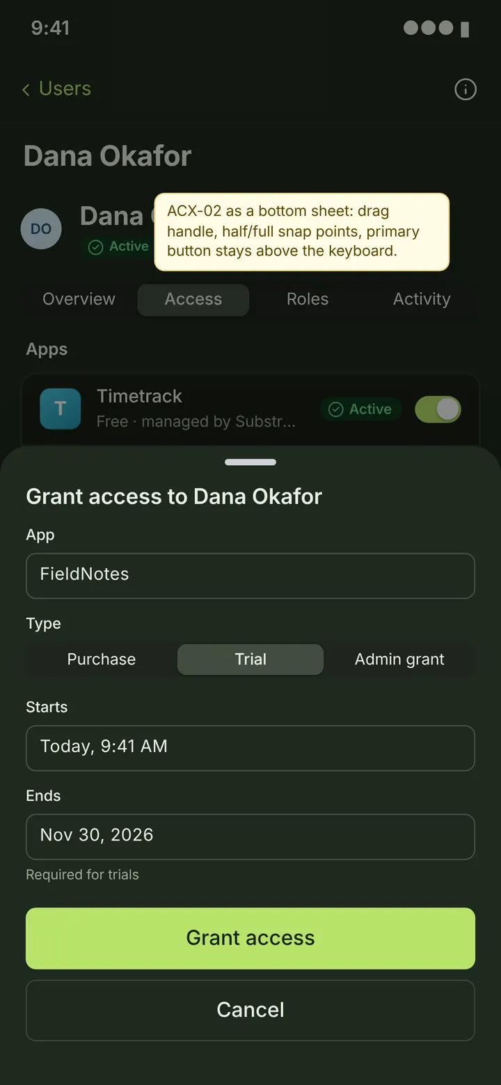 Web (PWA) Grant access — dark theme