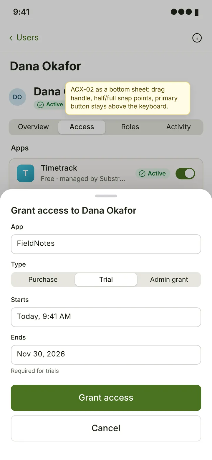 Web (PWA) Grant access — light theme